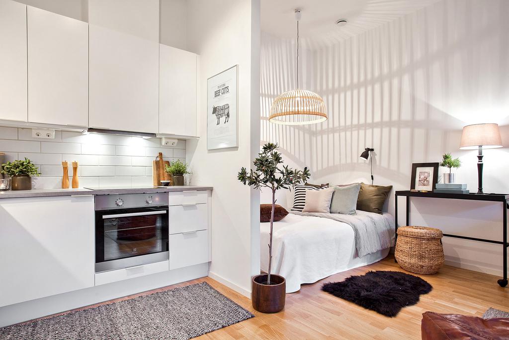 Anna-Plamer-Interiors-Studio-Flat-Ideas-Kitchen